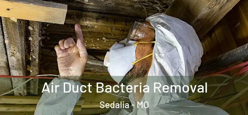  Air Duct Bacteria Removal Sedalia - MO