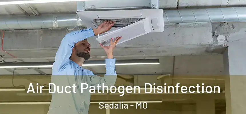 Air Duct Pathogen Disinfection Sedalia - MO