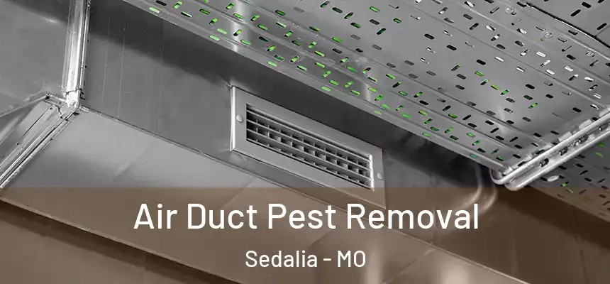 Air Duct Pest Removal Sedalia - MO