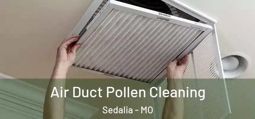  Air Duct Pollen Cleaning Sedalia - MO