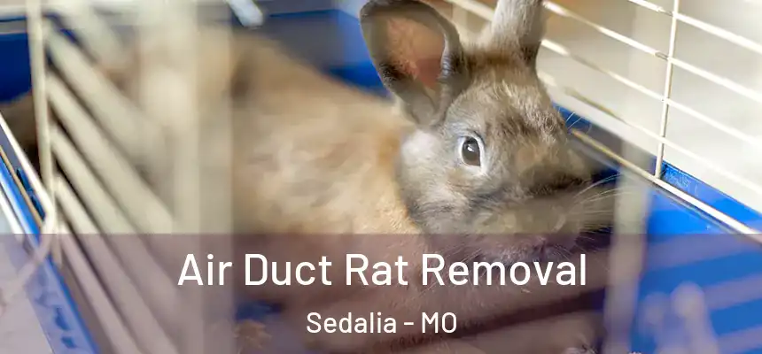 Air Duct Rat Removal Sedalia - MO