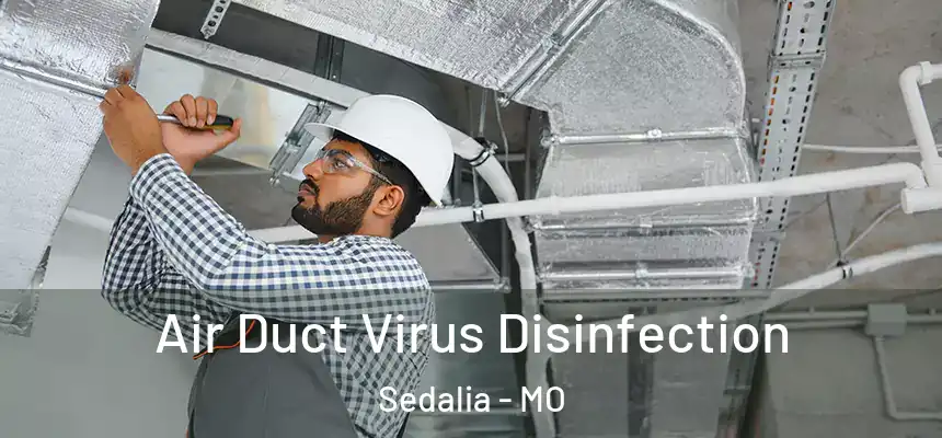 Air Duct Virus Disinfection Sedalia - MO