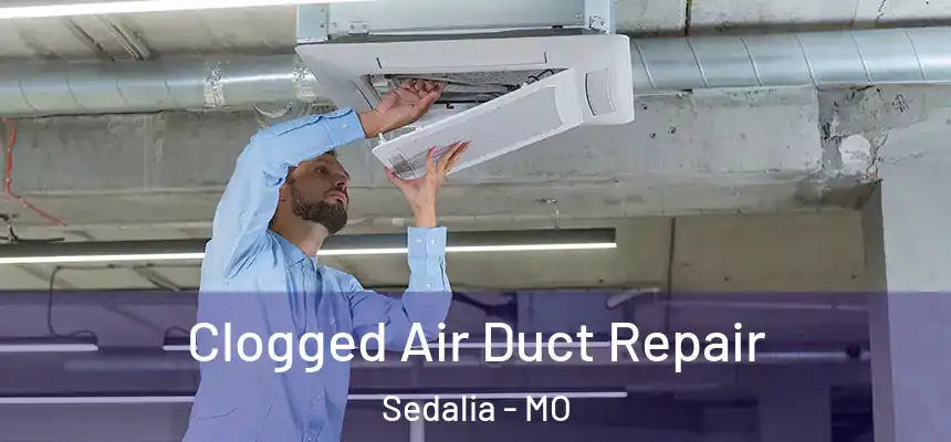 Clogged Air Duct Repair Sedalia - MO
