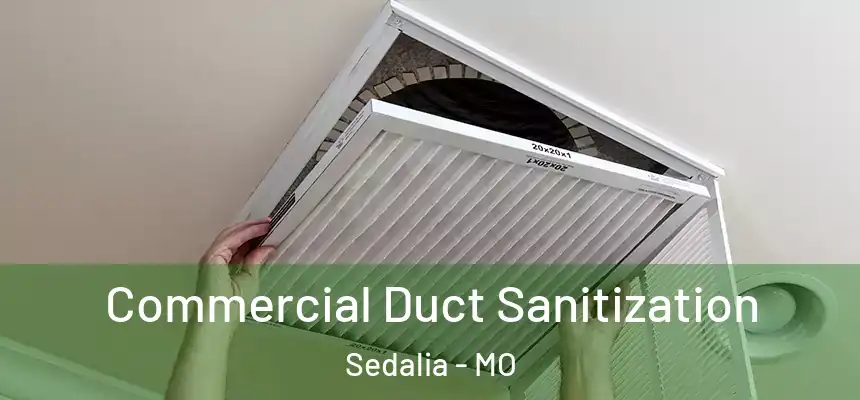  Commercial Duct Sanitization Sedalia - MO