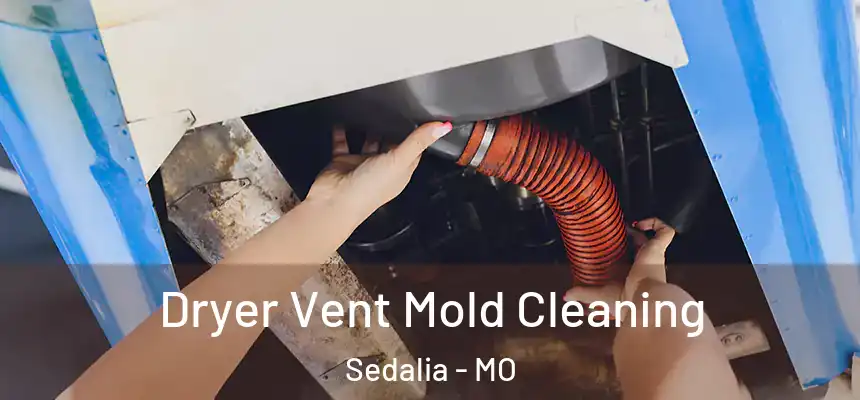  Dryer Vent Mold Cleaning Sedalia - MO