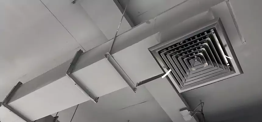 Our Rodent Droppings In Vents Services in Sedalia, MO