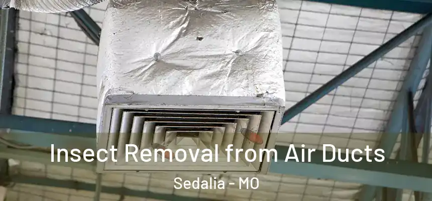 Insect Removal from Air Ducts Sedalia - MO