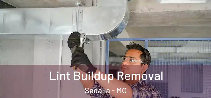  Lint Buildup Removal Sedalia - MO