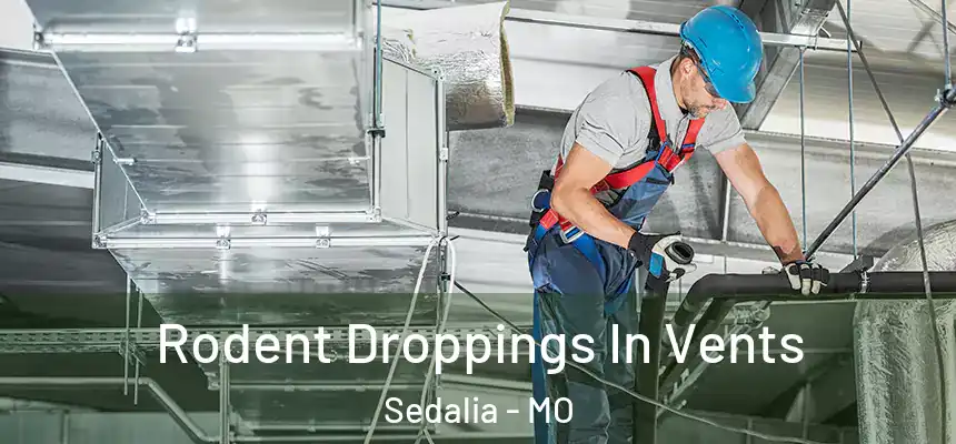 Rodent Droppings In Vents Sedalia - MO