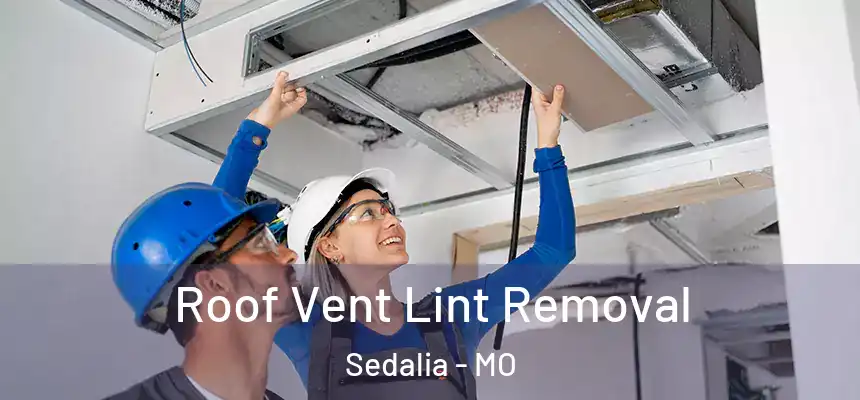 Roof Vent Lint Removal Sedalia - MO