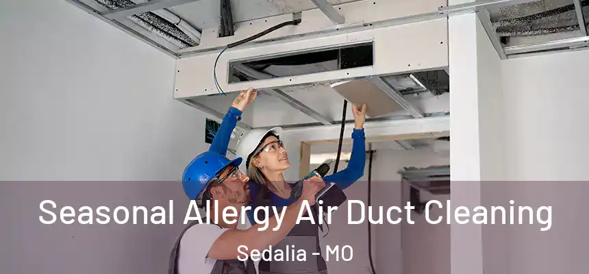  Seasonal Allergy Air Duct Cleaning Sedalia - MO