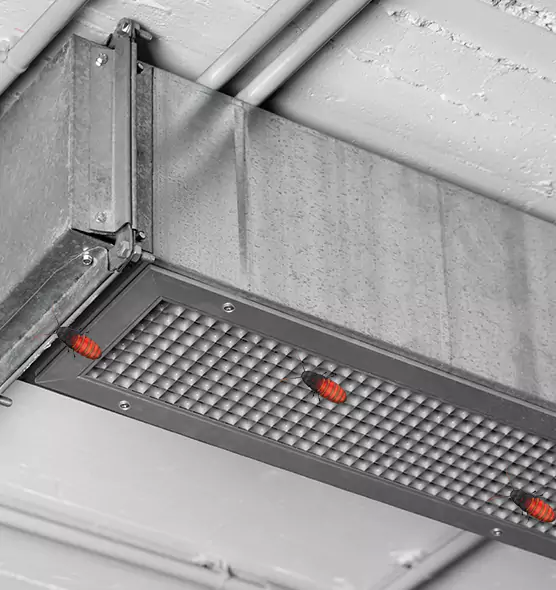 About Air Duct Cockroach Removal in Sedalia, MO