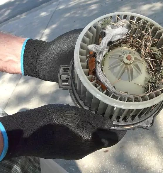 About Air Duct Mice Removal in Sedalia, MO