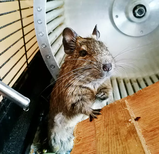 Why Homeowners & Businesses Trust Us Sedalia, MO