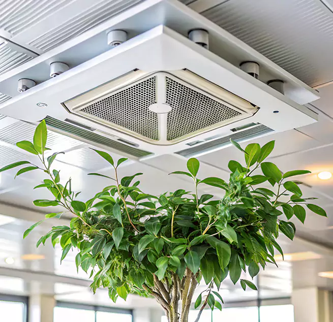 Why Homeowners & Businesses Trust Us in Sedalia, MO