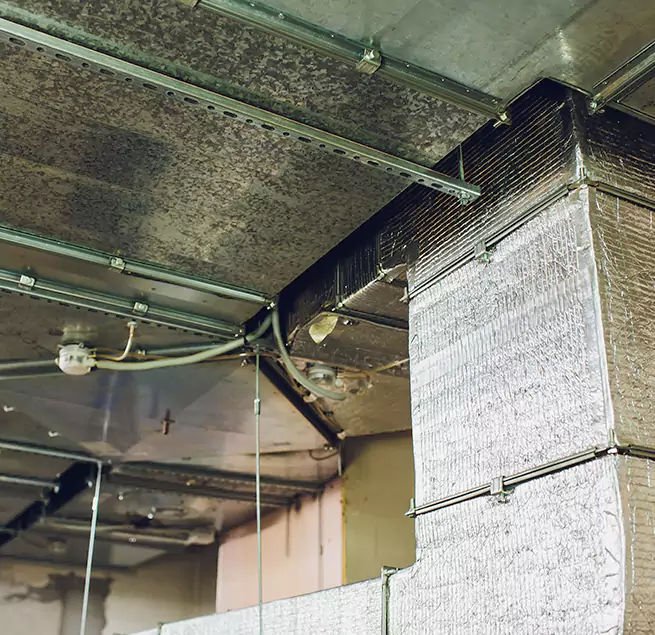 Why Homeowners & Businesses Trust Us in Sedalia, MO?