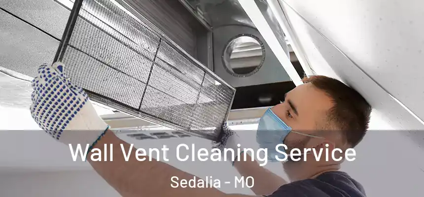 Wall Vent Cleaning Service Sedalia - MO
