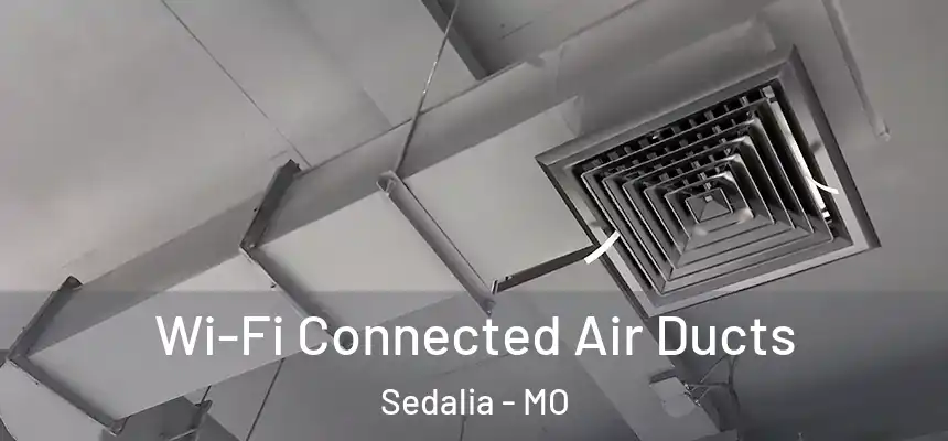 Wi-Fi Connected Air Ducts Sedalia - MO